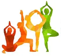 Bulletin d&rsquo;inscription -Gym